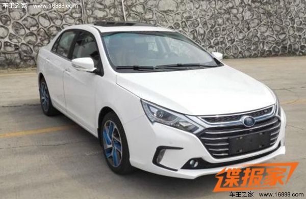 06_byd_5.jpg