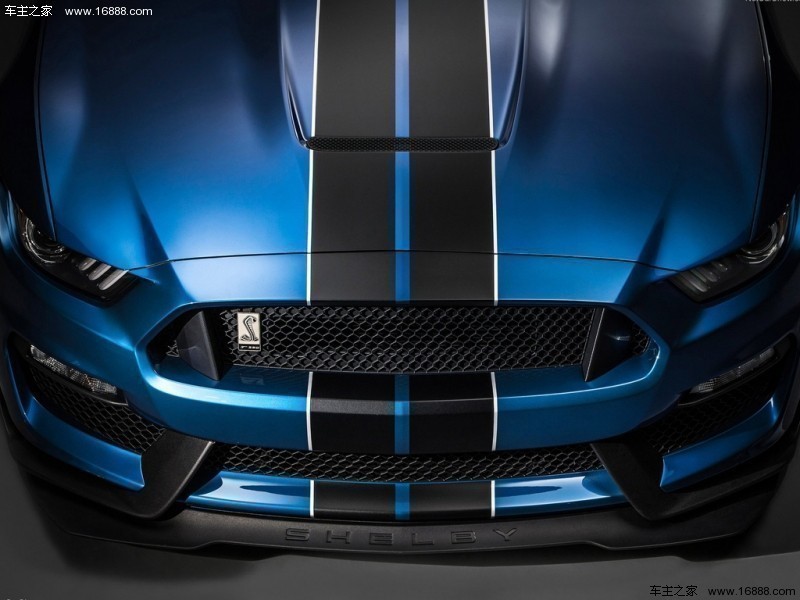 Mustang2016款 Shelby GT350R