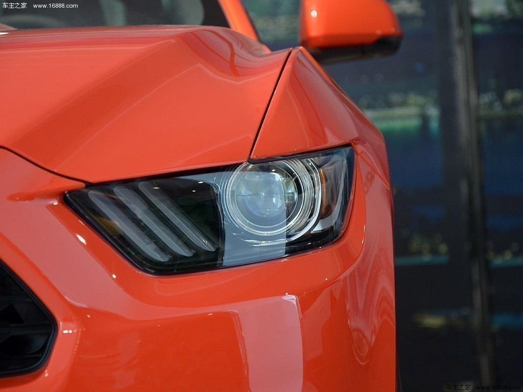 Mustang15款2.3T 50周年纪念版