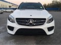  Mercedes Benz GLE ink plate pictures