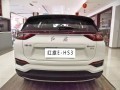 红旗E-HS3图片