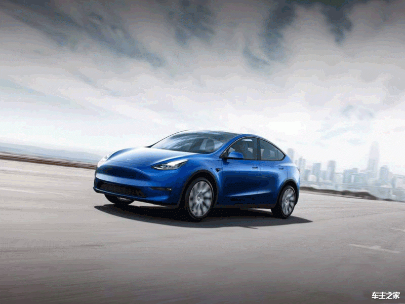 Model Y（进口）2019款