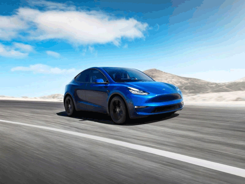 Model Y（进口）2019款