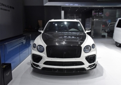 邁莎銳添越圖片