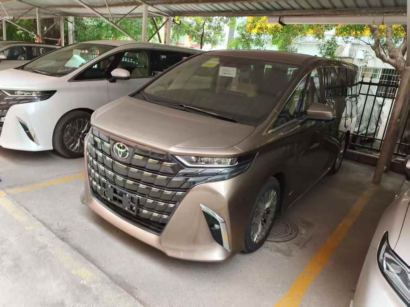 埃尔法 2025款 双擎 2.5L 尊贵黄金版
