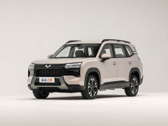 星光560新能源圖片