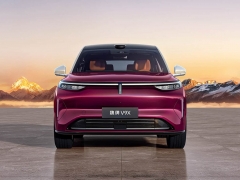 魏牌 V9X圖片