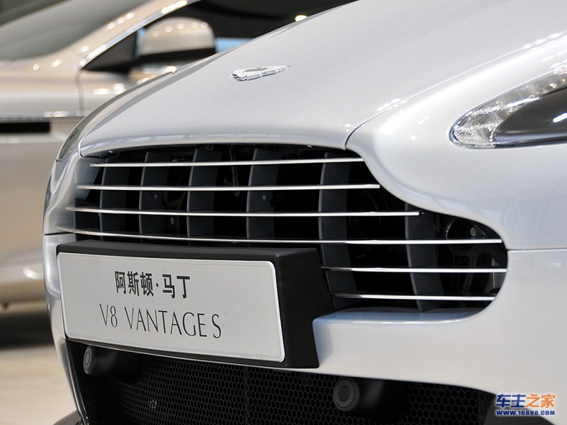 V8 Vantage雨水栅