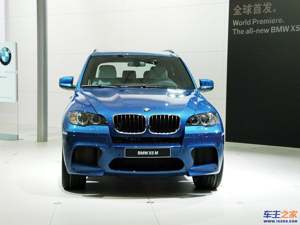 宝马X5(进口)蓝色 宝马X5