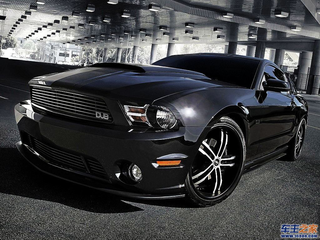 Mustang野马
