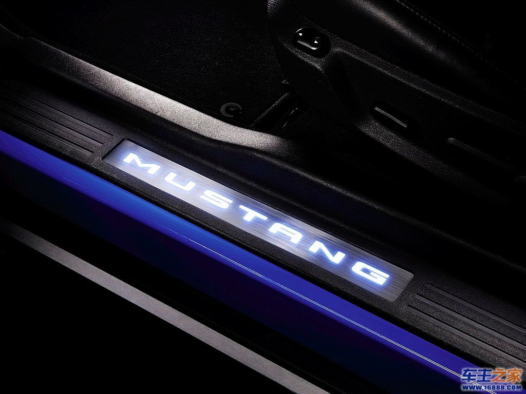 Mustang野马
