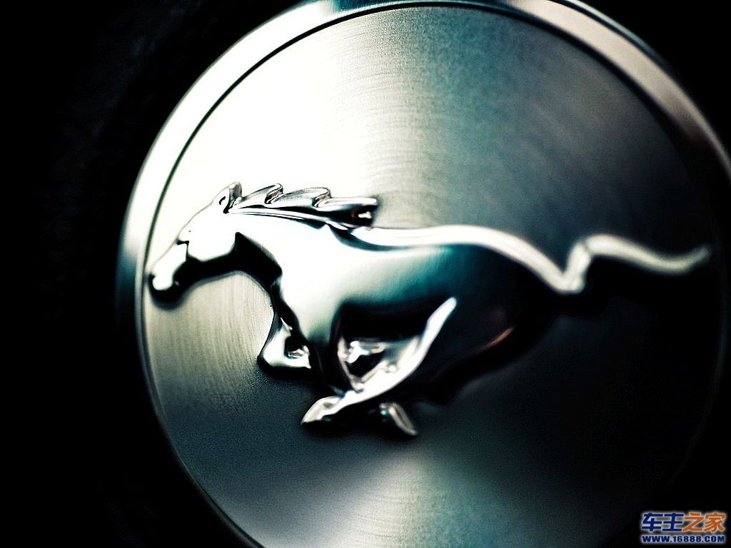 Mustang野马
