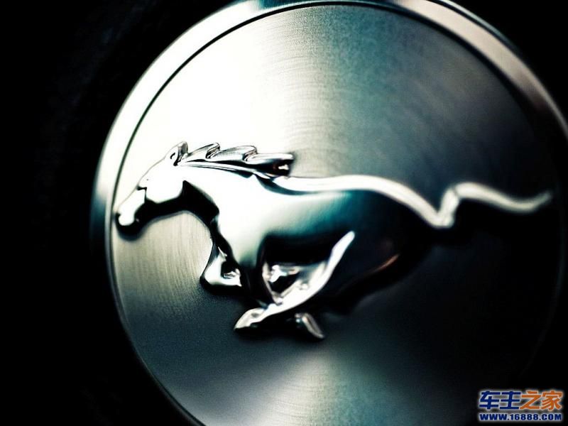 Mustang野马