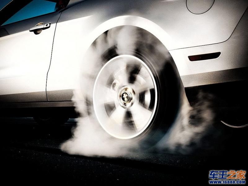 Mustang野马