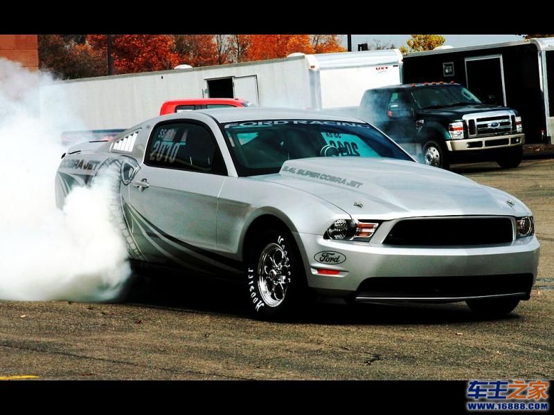 Mustang 野马