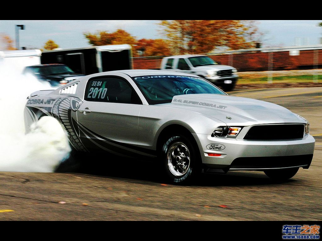 Mustang 野马