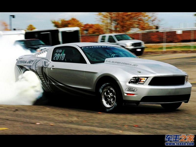 Mustang 野马