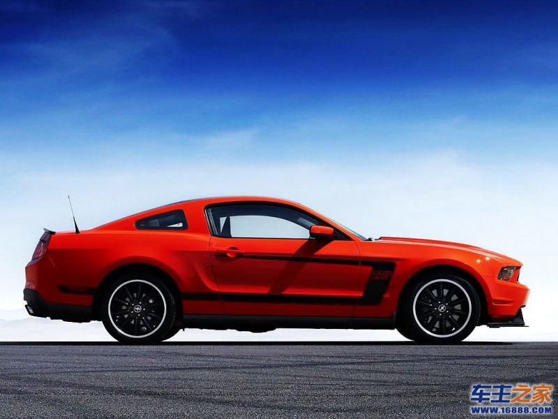 Mustang 野马