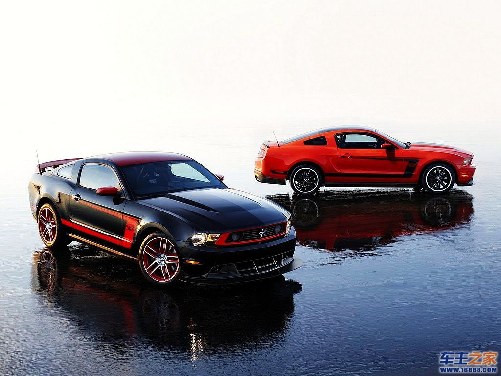 Mustang 野马