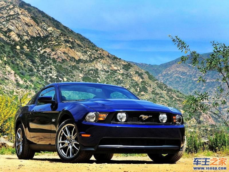 Mustang 野马