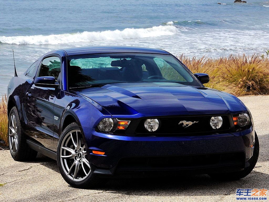 Mustang 野马