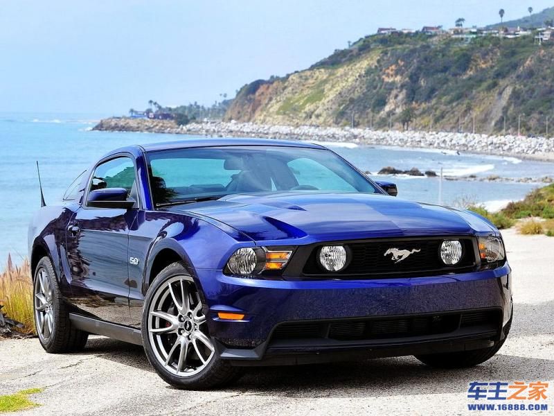 Mustang 野马