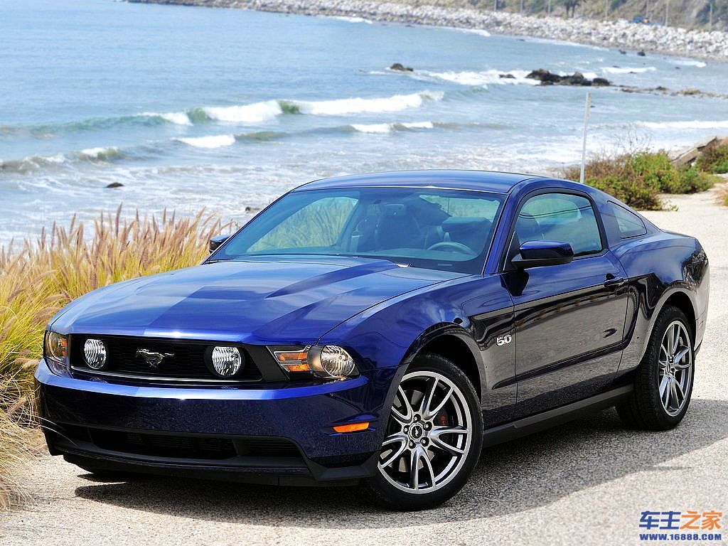 Mustang 野马