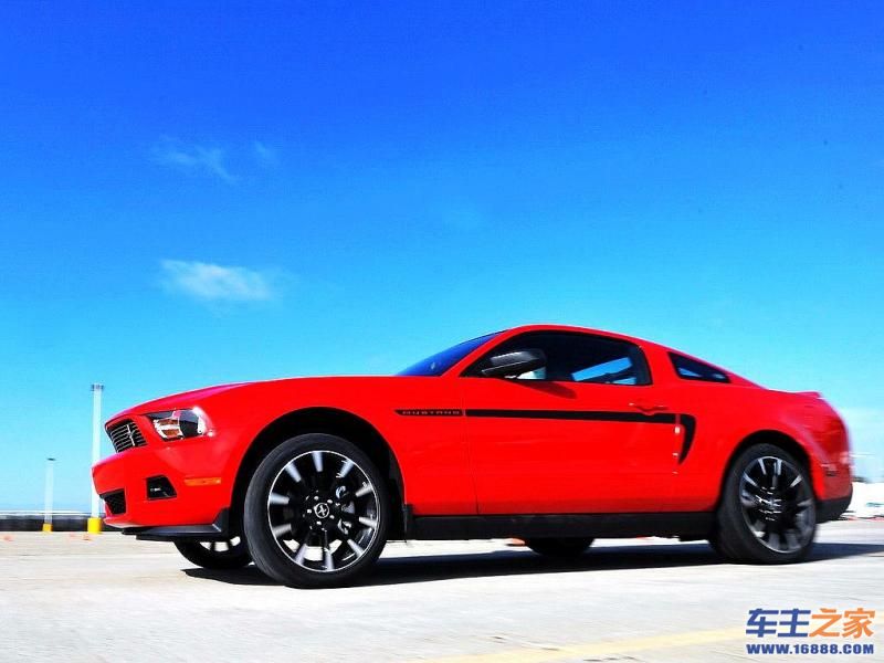 Mustang 野马