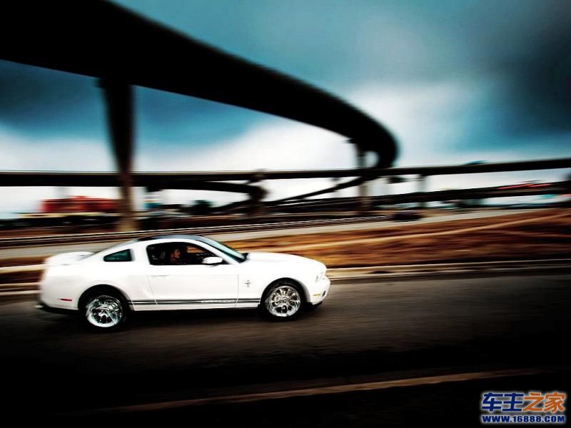 Mustang 野马