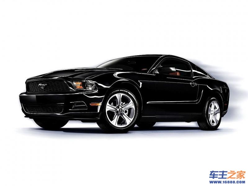 Mustang 野马