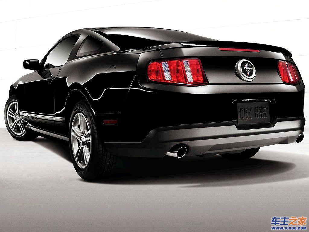 Mustang 野马