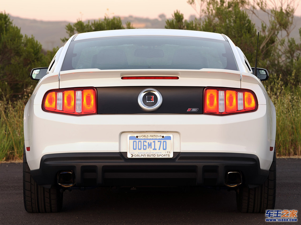 Mustang正后方