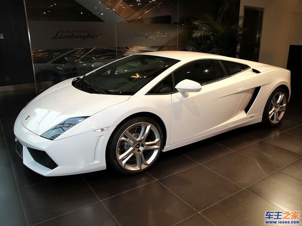 Gallardo白色 Gallardo