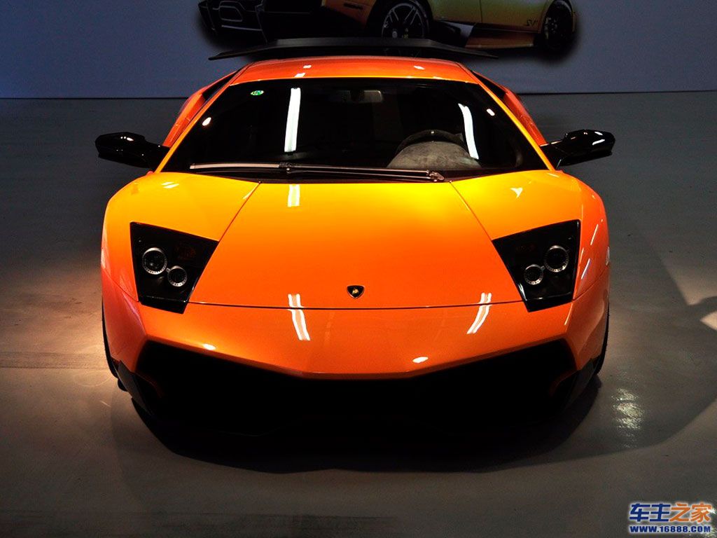 murcielago橙色 murcielago